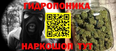 прущие грибы Вязьма