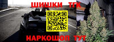 прущие грибы Вязьма