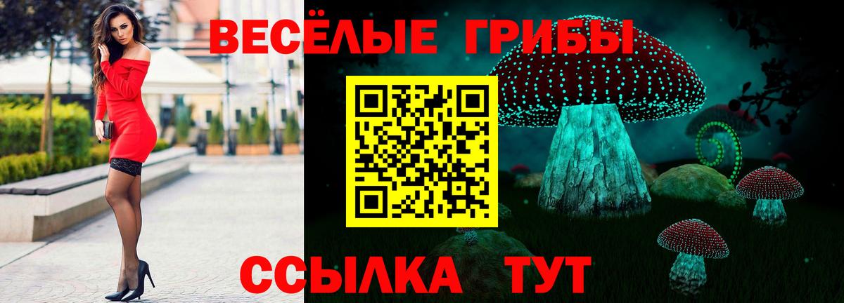 Губкин  Псилоцибиновые грибы Psilocybine cubensis  Псилоцибиновые грибы Magic Shrooms  Вход с VPN 