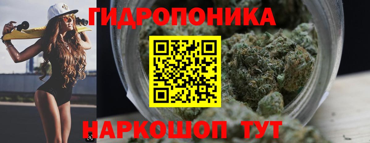 Каннабис марихуана  Вход с VPN  Бошки марихуана сатива  Губкин 